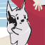 catphone911y.gif