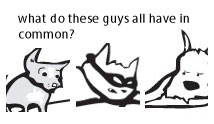 commonpets.jpg