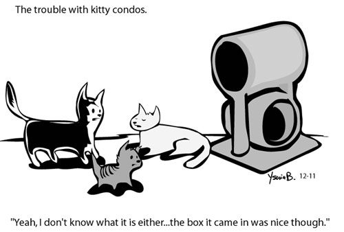 kittycondo121103yb.jpg
