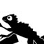lizard.jpg